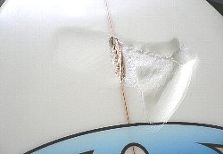 �|���G�X�e�� �{�g�� 8_1